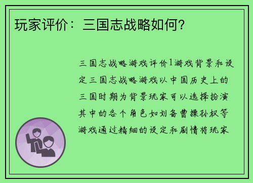 玩家评价：三国志战略如何？